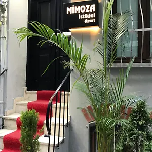 Mimoza ıstiklal Apart Otel İstanbul
